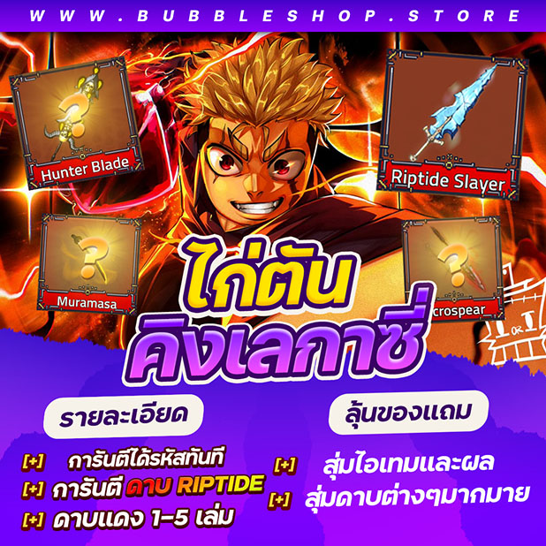 สินค้าใหม่